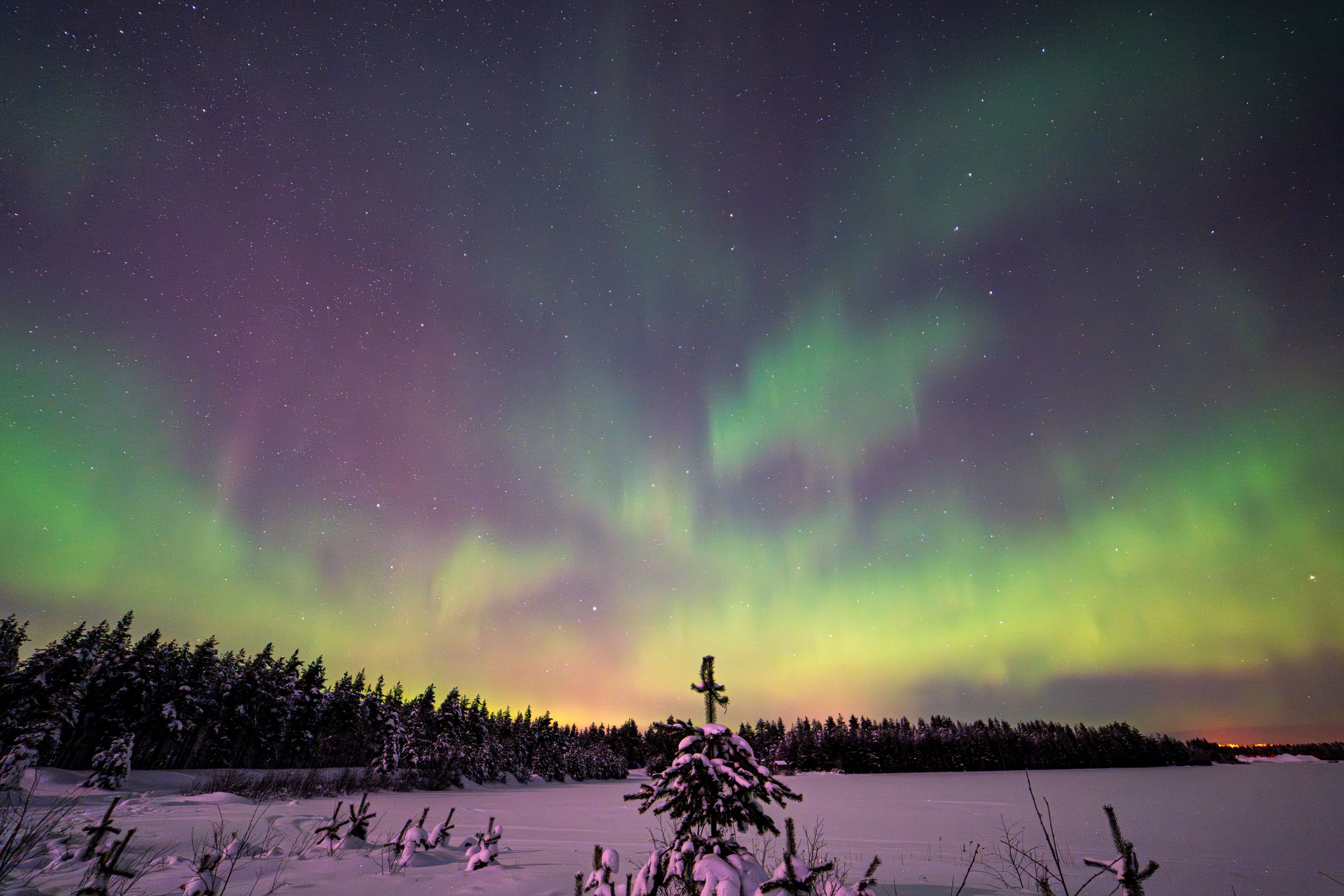 Lapland winter landscape